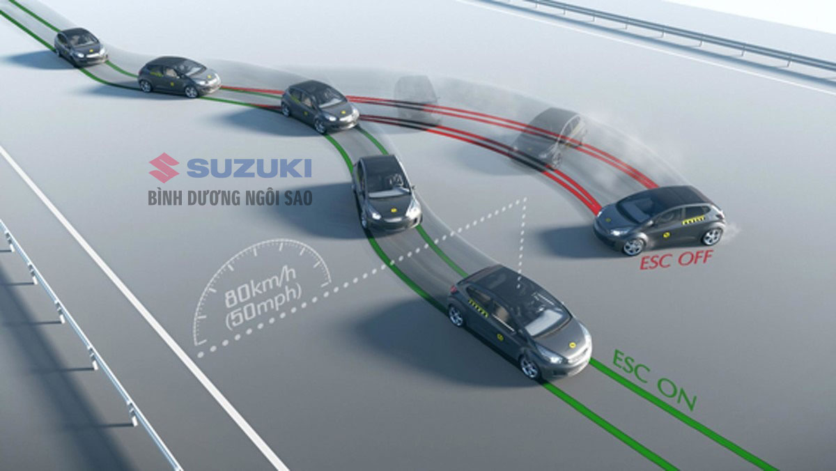 ESP Electronic Stability Program