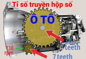 hop so san