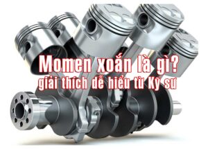 momen xoan la gi thumb